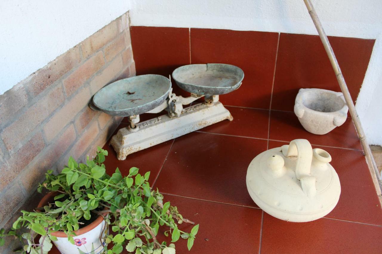 Lo Segador Guest House El Poble Nou del Delta Ngoại thất bức ảnh
